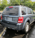 ford escape 2010 blue suv xlt flex fuel 6 cylinders all whee drive automatic 13502