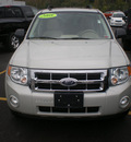 ford escape 2008 tan suv xlt gasoline 6 cylinders all whee drive automatic with overdrive 13502