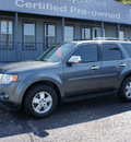 ford escape 2009 gray suv xlt fwd gasoline 4 cylinders front wheel drive automatic 47172