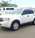 ford escape 2009 white suv xlt gasoline 6 cylinders 4 wheel drive automatic 80504