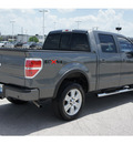 ford f 150 2009 dk  gray fx4 flex fuel 8 cylinders 4 wheel drive automatic with overdrive 77388