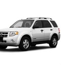 ford escape 2008 white suv xlt gasoline 6 cylinders all whee drive not specified 80126