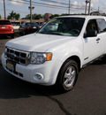 ford escape 2008 white suv xlt gasoline 4 cylinders all whee drive automatic with overdrive 08902