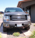 ford f 150 2009 gray xlt fx4 off rd flex fuel 8 cylinders 4 wheel drive automatic with overdrive 99352