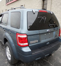 ford escape 2011 blue suv xlt awd flex fuel 6 cylinders all whee drive automatic with overdrive 60546