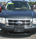 ford escape 2008 gray suv xlt gasoline 6 cylinders all whee drive automatic with overdrive 13502
