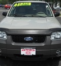 ford escape 2005 gold suv gasoline 6 cylinders all whee drive 4 speed automatic 43228