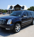 cadillac escalade esv 2008 blue suv gasoline 8 cylinders all whee drive automatic 76087