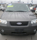 ford escape 2006 gray suv xlt gasoline 4 cylinders all whee drive automatic with overdrive 13502