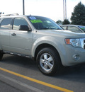 ford escape 2008 sage suv xlt gasoline 6 cylinders all whee drive automatic with overdrive 13502