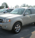 ford escape 2008 sage suv limited gasoline 6 cylinders all whee drive automatic with overdrive 13502