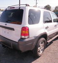 ford escape 2005 white suv xlt gasoline 6 cylinders all whee drive automatic 28217