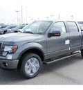 ford f 150 2012 gray fx4 flex fuel 8 cylinders 4 wheel drive automatic 77388