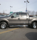 ford f 150 2006 gray gasoline 8 cylinders 4 wheel drive automatic with overdrive 13502
