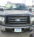 ford f 150 2010 gray gasoline 8 cylinders 2 wheel drive automatic with overdrive 13502