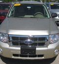 ford escape 2010 gold suv xlt gasoline 4 cylinders all whee drive automatic 62863