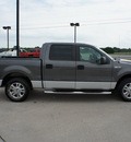 ford f 150 2007 gray xlt gasoline 8 cylinders rear wheel drive automatic with overdrive 76087