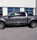 ford f 150 2012 gray platinum gasoline 6 cylinders 4 wheel drive automatic with overdrive 32401