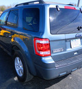ford escape 2010 blue suv xlt gasoline 4 cylinders front wheel drive automatic 14224