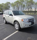 ford escape 2008 suv xlt gasoline 6 cylinders all whee drive 4 speed automatic 56301