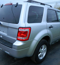 ford escape 2010 silver suv xlt gasoline 4 cylinders front wheel drive automatic 14224