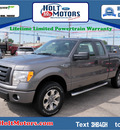 ford f 150 2012 gray flex fuel 8 cylinders 4 wheel drive automatic 55321