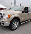 ford f 150 2012 beige xlt gasoline 6 cylinders 4 wheel drive automatic 37087