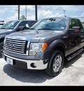 ford f 150 2012 gray pickup truck flex fuel 8 cylinders 2 wheel drive automatic 77338