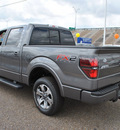 ford f 150 2012 gray fx2 flex fuel 8 cylinders 2 wheel drive automatic 78523