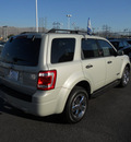 ford escape 2008 light sage suv xlt gasoline 6 cylinders front wheel drive automatic 79925