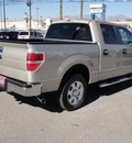 ford f 150 2009 tan styleside gasoline 8 cylinders 2 wheel drive automatic 79936