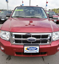 ford escape 2008 red suv xlt gasoline 6 cylinders all whee drive automatic with overdrive 13502