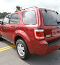 ford escape 2008 red suv xlt gasoline 6 cylinders all whee drive automatic with overdrive 13502