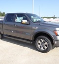 ford f 150 2012 gray fx4 gasoline 6 cylinders 4 wheel drive shiftable automatic 77388