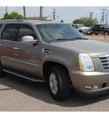 cadillac escalade 2007 gold suv gasoline 8 cylinders all whee drive automatic 78539