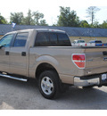 ford f 150 2012 beige xlt flex fuel 8 cylinders 2 wheel drive automatic with overdrive 77575