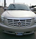 cadillac escalade 2007 gray suv gasoline 8 cylinders all whee drive automatic 13502