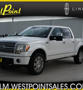 ford f 150 2011 white platinum gasoline 8 cylinders 4 wheel drive automatic 77043