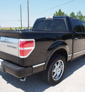 ford f 150 2009 black platinum flex fuel 8 cylinders 2 wheel drive not specified 77375