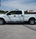 ford f 150 2011 white xlt gasoline 6 cylinders 4 wheel drive automatic 78016