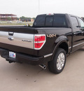 ford f 150 2013 brown platinum 6 cylinders automatic 76108