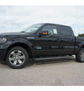 ford f 150 2013 black fx2 gasoline 6 cylinders 2 wheel drive automatic 77531