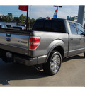 ford f 150 2010 dk  gray platinum 8 cylinders automatic with overdrive 77706