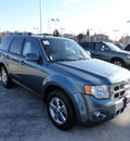 ford escape 2010 blue suv limited 4x4 flex fuel 6 cylinders all whee drive automatic with overdrive 60546