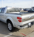 ford f 150 2013 ingot silver platinum gasoline 6 cylinders 2 wheel drive automatic 75062