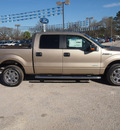 ford f 150 2013 beige xlt gasoline 6 cylinders 2 wheel drive automatic with overdrive 77575