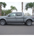 ford f 150 2013 sterling gray metal fx2 flex fuel 8 cylinders 2 wheel drive automatic 78550