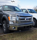 ford f 150 2013 sterling gray metal xlt flex fuel 8 cylinders 4 wheel drive not specified 08753