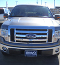 ford f 150 2009 gray styleside gasoline 8 cylinders 2 wheel drive automatic 79925