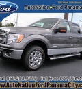ford f 150 2013 gray xlt gasoline 6 cylinders 2 wheel drive automatic 32401